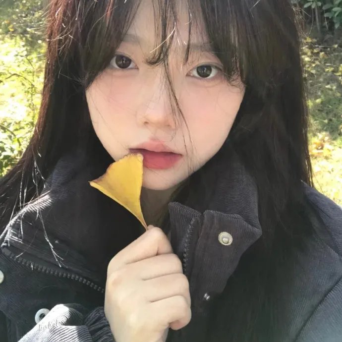 去见瀑布